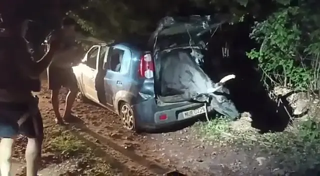 Boi de grande porte é resgatado de bagageiro de Uno furtado no Ceará