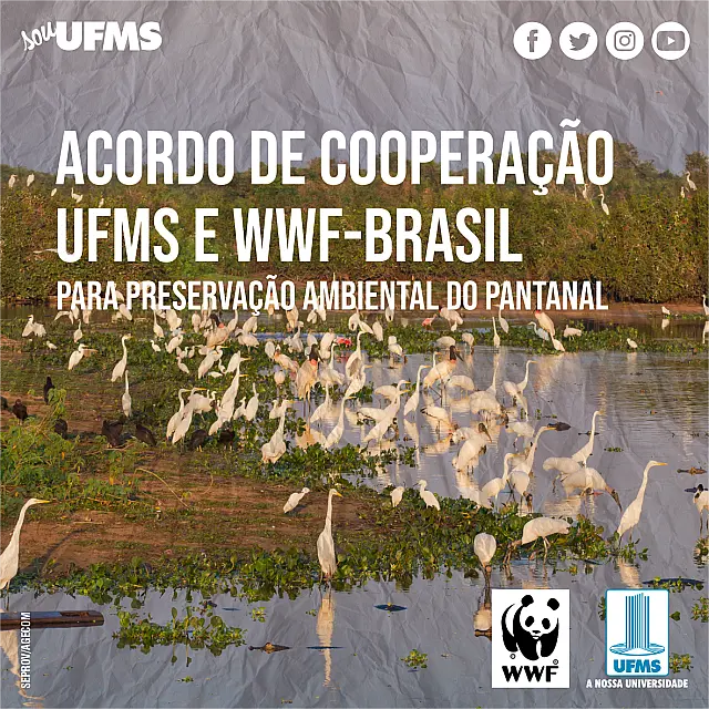 UFMS e WWF-Brasil assinam Acordo de Cooperação pela preservação do Pantanal