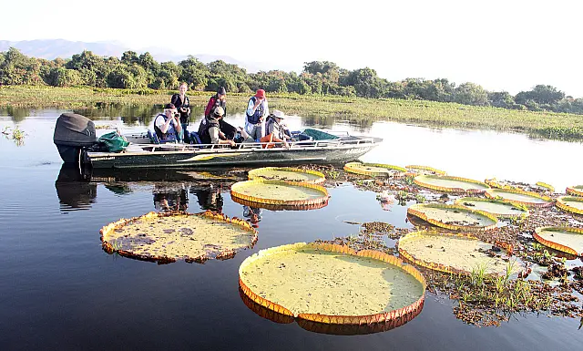 Com a cota zero, MS quer potencializar o turismo de pesca com as belezas naturais