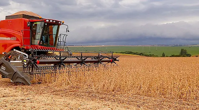 Safra agrícola deve aumentar entre 8% e 10% em 2025, segundo Conab e IBGE
