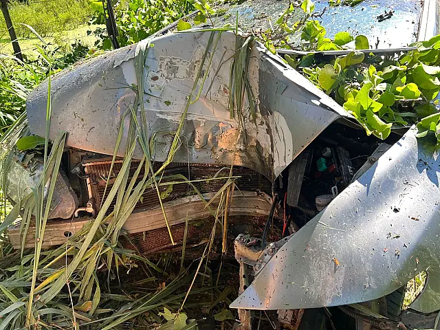 Motorista desvia de animais na BR-262 e sofre acidente em Anastácio