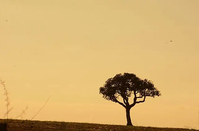 Aquidauana enfrenta calor de 38°C e umidade crítica neste sábado