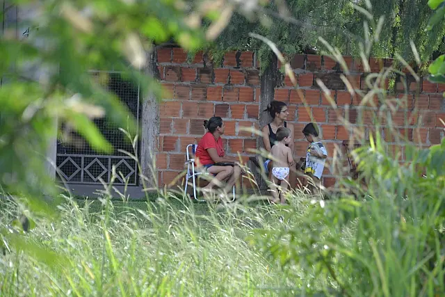 Moradores reclamam de mato alto e invasão de insetos nos Altos de Anastácio