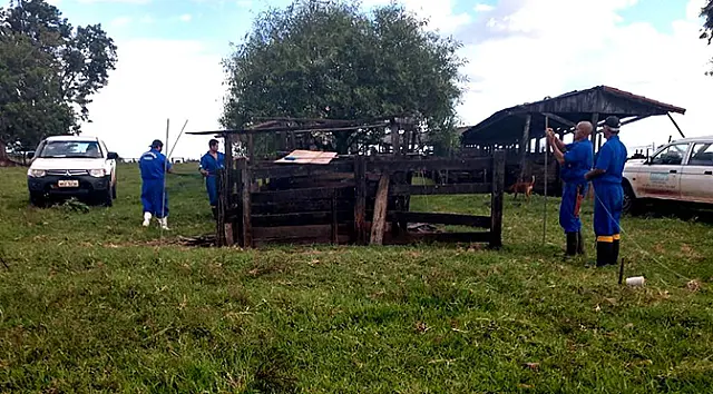 Iagro alerta para confirmação de novos casos de raiva no Estado