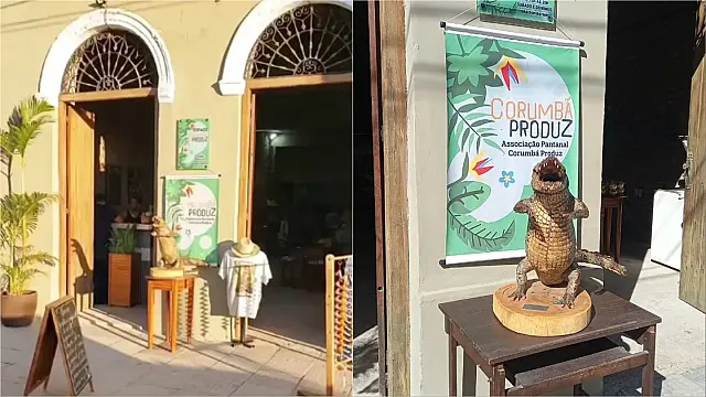 Artesãos do Pantanal: Associação transforma turismo através da arte em Porto de Corumbá