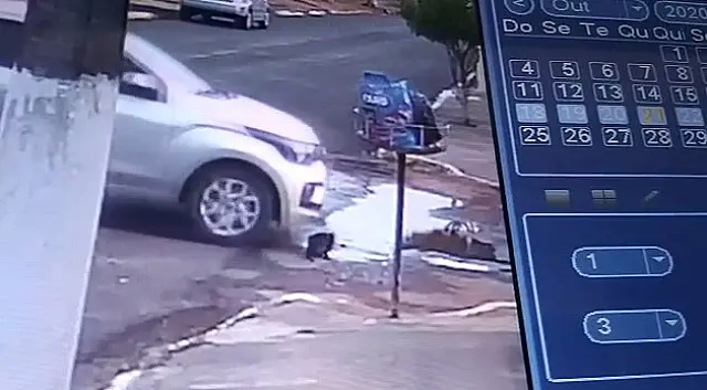 Mulher que atropelou gato de propósito é autuada pela polícia em Miranda