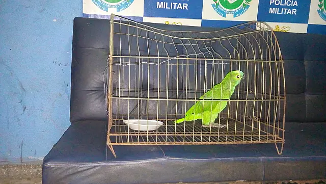 Além de drogas e armas, traficante mantinha ave em cativeiro no Aeroporto II