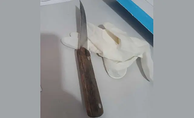 Após esfaquear namorado da sobrinha, homem é preso escondido em árvore