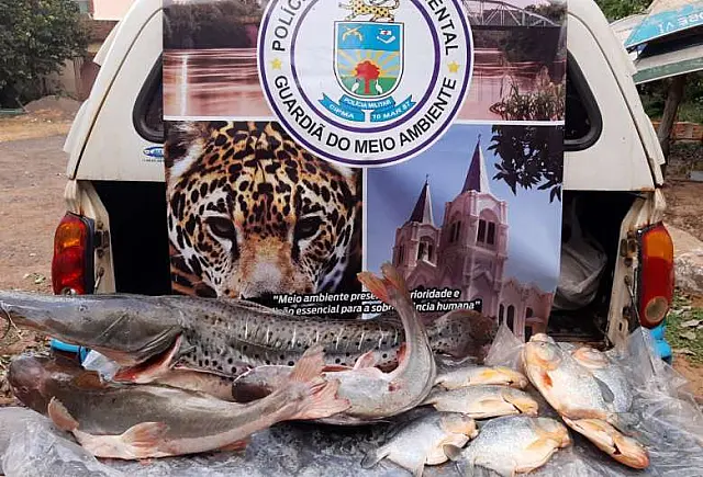 Pescador é flagrado com mais de 70 exemplares de peixe pela PMA de Aquidauana