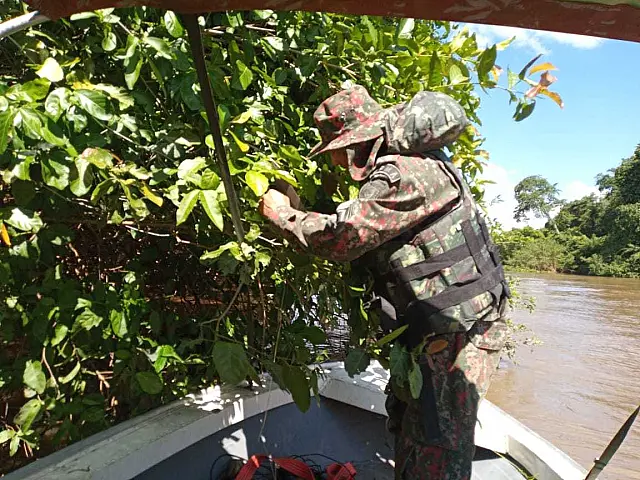 PMA de Miranda recolhe espinhéis e 43 anzóis de galho durante fiscalização