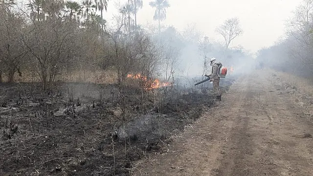 Ministério Público vai investigar autorizações para desmatamento no Pantanal