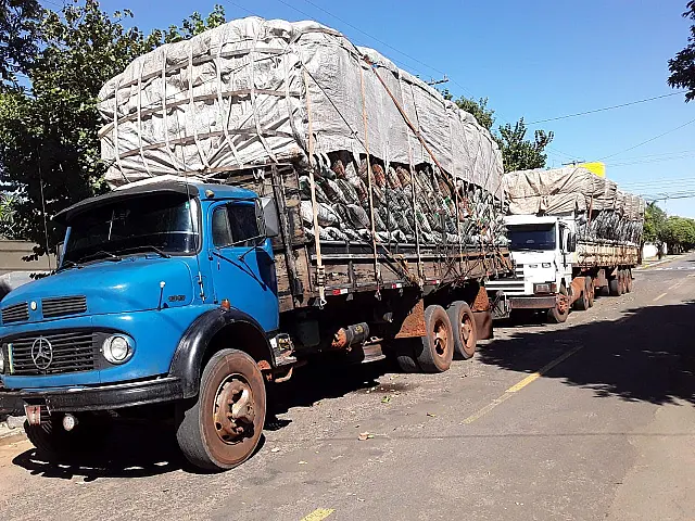 PMA apreende carreta e caminhão com cargas de carvão ilegal e aplica multa de R$ 49,2 mil