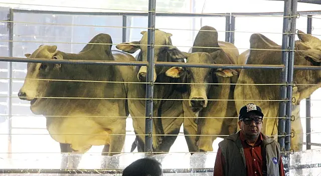 Feira Agrotecnológica do Pantanal movimenta R$ 1,7 milhão em três dias