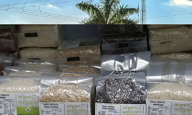 Vendas de produtos orgânicos no país crescem 30%, aponta pesquisa