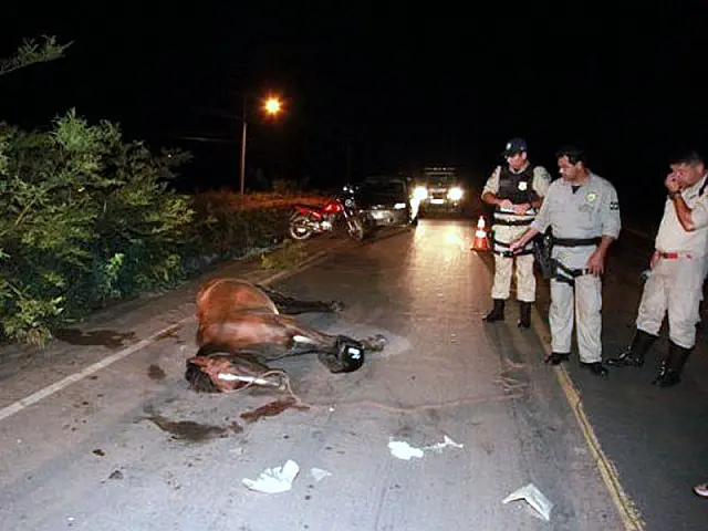 Motociclista morre a caminho do hospital depois de atropelar cavalo