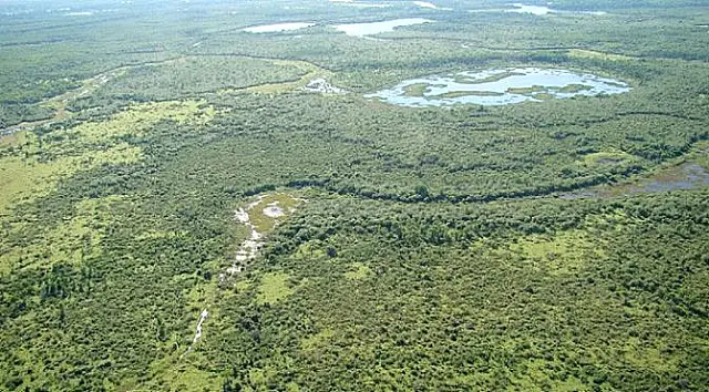 Seminário detalha funcionamento e vantagens da Reserva da Biosfera Pantanal