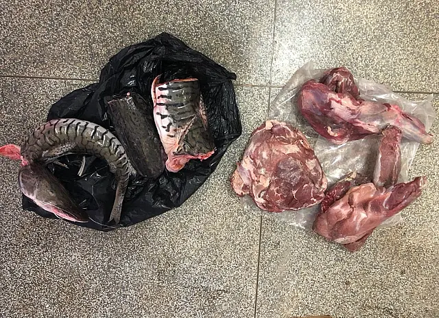 Técnico em refrigeração é preso em Terenos por crime ambiental