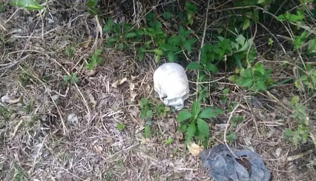 Ossada é encontrada na fronteira e pode ser de brasileiro desaparecido