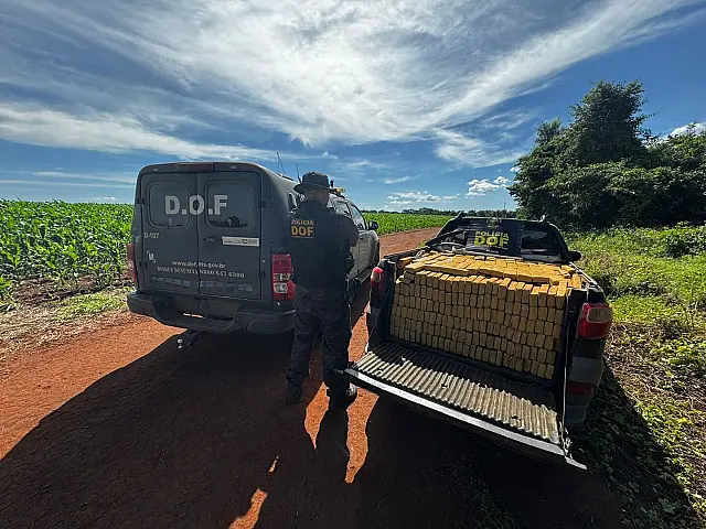 Operação Integrar apreende cerca de 2 toneladas de drogas em MS