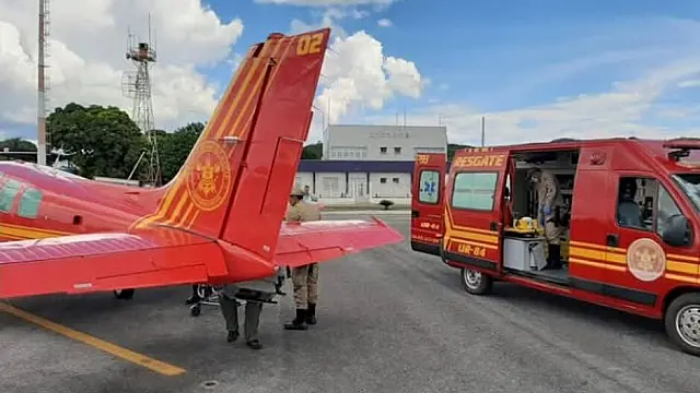 Trabalhador rural é picado por jararaca na região da Nhecolândia