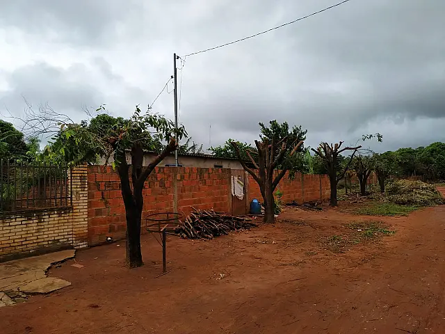 Moradores podam 13 árvores sem autorização e são multados em Anastácio