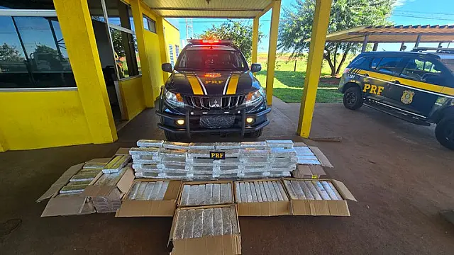 Caminhoneiro é preso com 284 kg de maconha na BR-163 em São Gabriel do Oeste