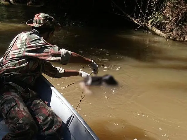 PMA resgata corpo de homem que se afogou ao atravessar rio