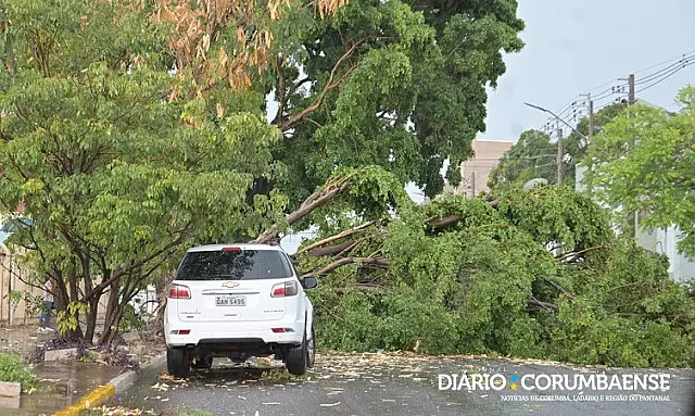 Temporal provoca queda de árvores e rastro de destruição em Corumbá