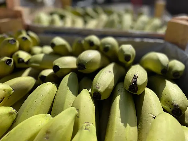 Preço da banana-prata cai 6,6%, mas abacate sobe quase 12% na Ceasa-MS