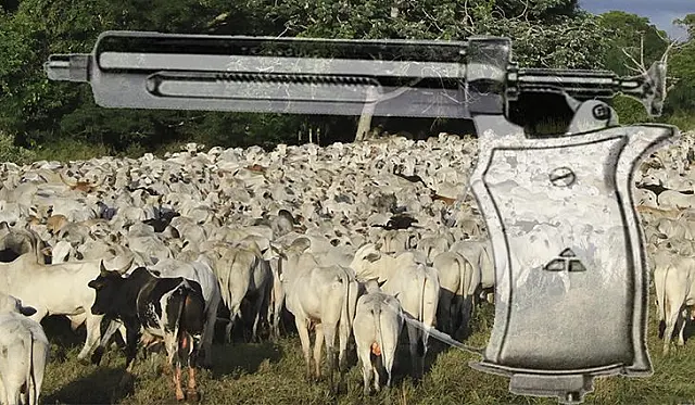 Etapas de vacinação contra aftosa estão invertidas no MS