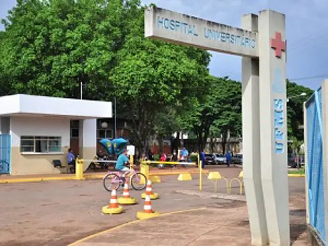 Gêmeos siameses morrem após parto e devem ser estudados pela UFMS