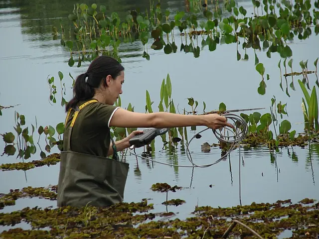 Mapaeamento ambiental contribui para a conservação da biodiversidade do Estado