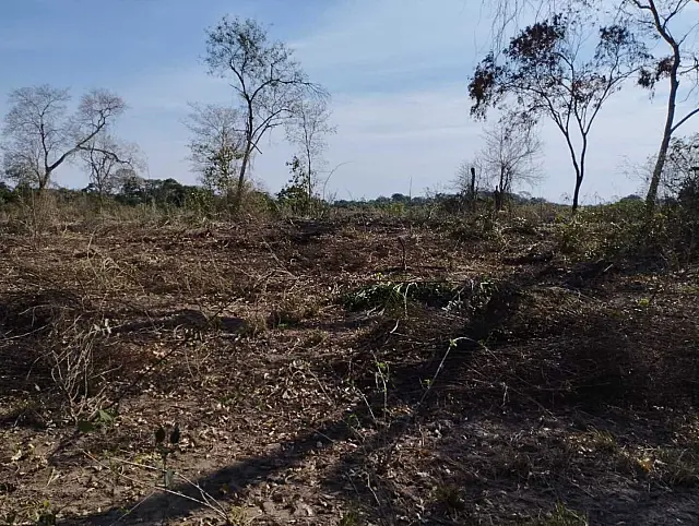 Mínistéria Público aplica multa ao identificar uso irregular de fogo no Pantanal
