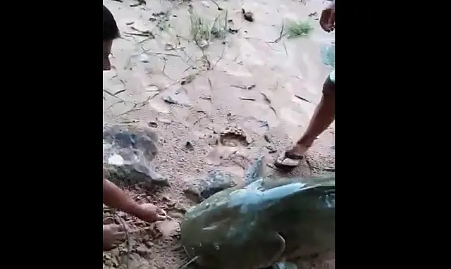 Vereador e mais dois são autuados em R$ 15 mil por pesca ilegal