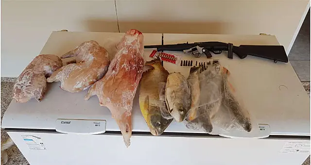 Homem é preso com pescado, caça, armas, munições e tarrafas