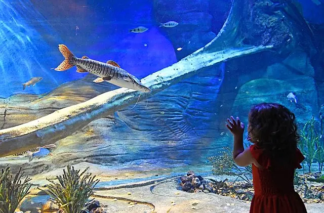 Bioparque divulga horário especial de Carnaval