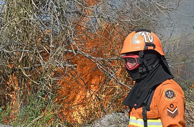 Prevenção aos incêndios florestais será discutida por autoridades na Famasul