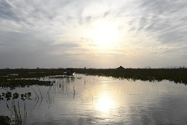 Governo de MS R$ 6,1 milhões para projetos sustentáveis no Pantanal