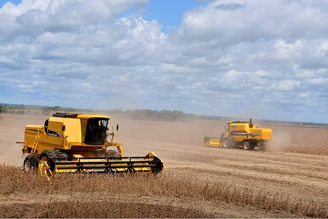Produção agrícola de MS em 2025 deve ser 2,5% maior que safra passada