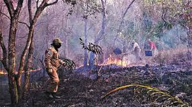 Combate a incêndio no Pantanal ganha reforço do exército