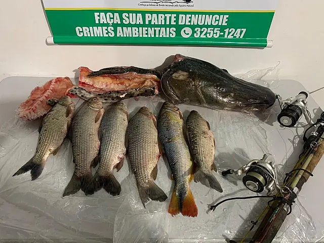 PMA apreende 18 quilos de pescado ilegal