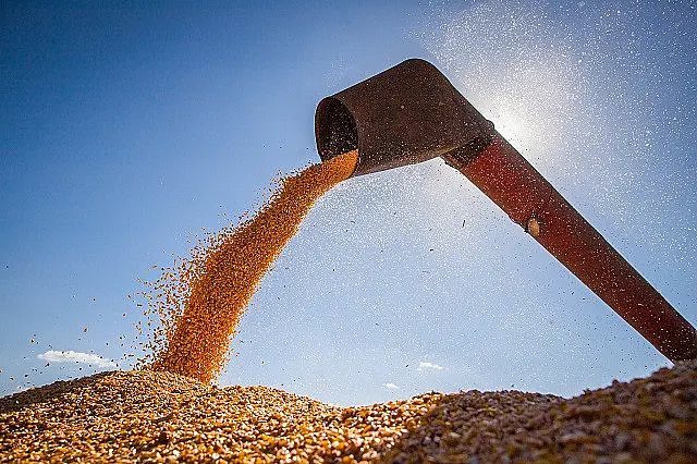 IBGE projeta safra recorde de 293,6 milhões de toneladas para 2023