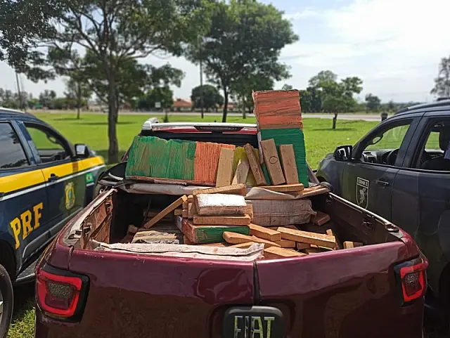 PRF e PM apreendem 809 Kg de maconha após tentativa de fuga