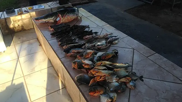 PMA prende homem em Anastácio pelo crime de pesca predatória