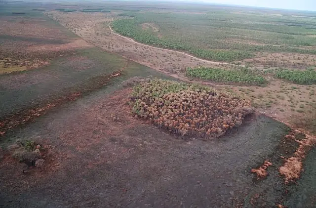 Bombeiros extinguem incêndio florestal no Pantanal do Nabileque