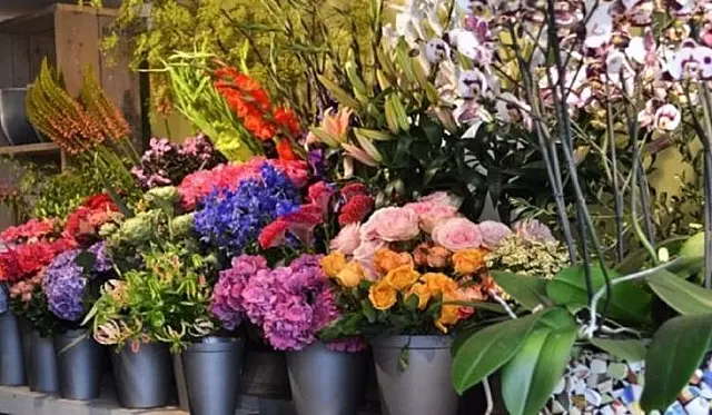 De flores a rodízio de pizzas, pesquisa do Procon indica variação de preços no Dia dos Namorados