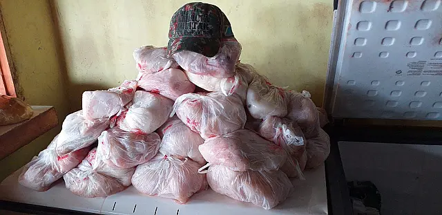 PMA autua comerciante por venda ilegal de carne de jacaré