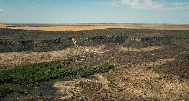 Governo monta força-tarefa para conter desmatamento no Cerrado