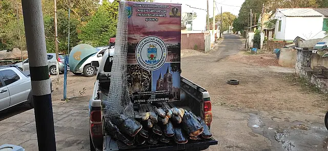 Pescador é preso em flagrante com 134 kg de peixes e petrechos proibidos no Rio Aquidauana