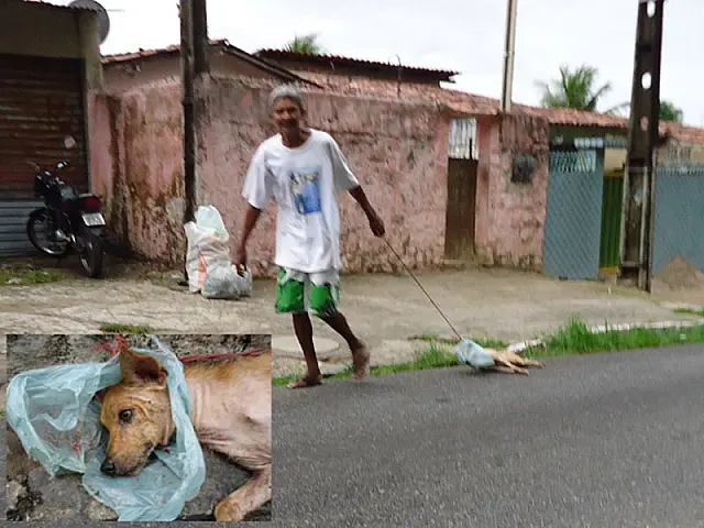 Cão é arrastado no asfalto por vários metros